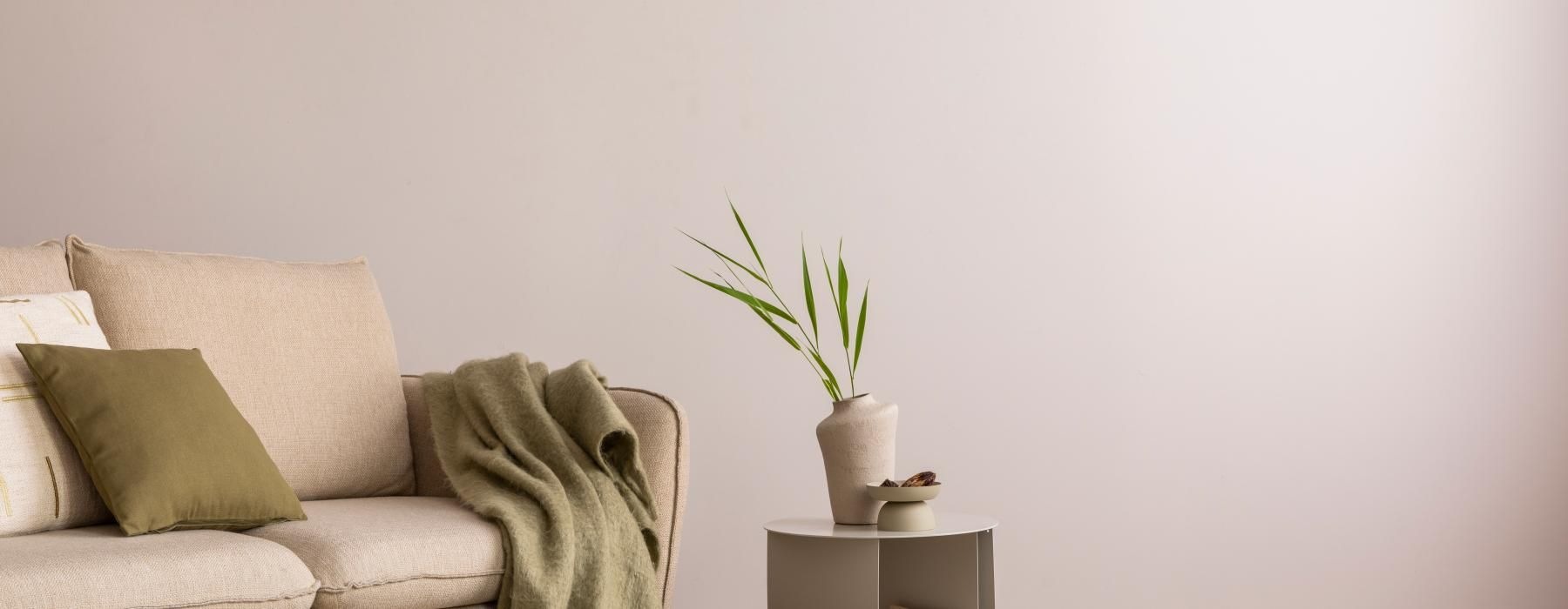 a couch and a plant on a table